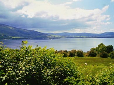 Blessington Cottage (OC-II06704)