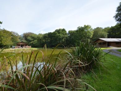 Waldon Valley Lodges - Beech (OC-85562)