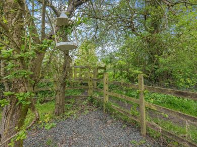 Hawthorn Escape (OC-66230) Hawthorn Escape (OC-66230)
