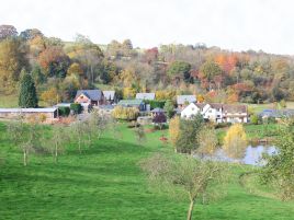 The Malvern Russett