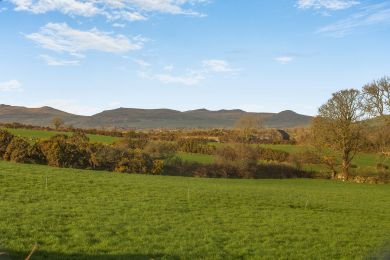 Llys Bach (OC-BOW110) Llys Bach (OC-BOW110)