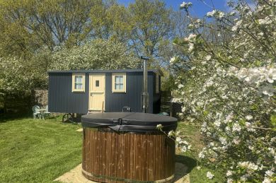 The Orchard Hut (OC-O31908)