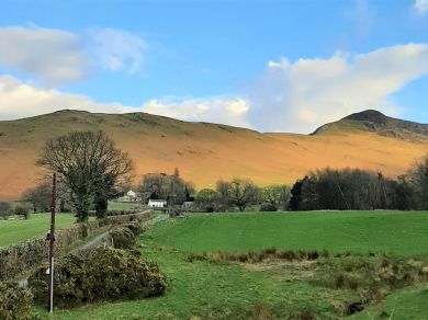 Coledale Cottage (OC-86117) Coledale Cottage (OC-86117)