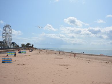 Medland View (OC-MEDVI)