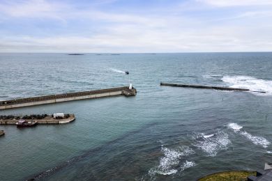 Tidal Cottage (OC-T29085)