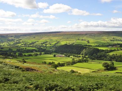 Curlew Cottage - Goathland (OC-G0042)