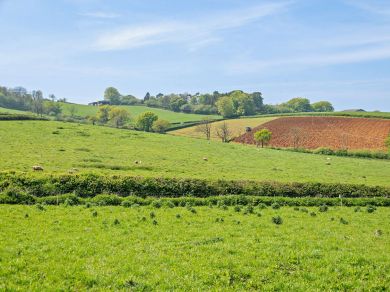 Well Cottage - Stoke Knapp Farm (OC-94405)