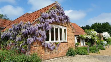 Garden Cottage Wellingham (OC-KT073)