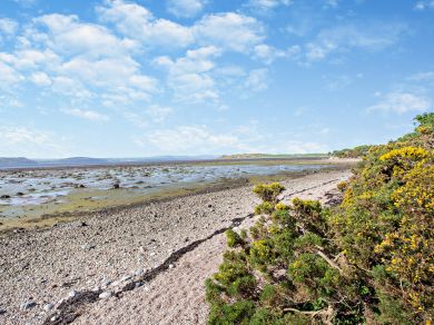 Pebble Beach - Culloden (OC-50185) Pebble Beach - Culloden (OC-50185)