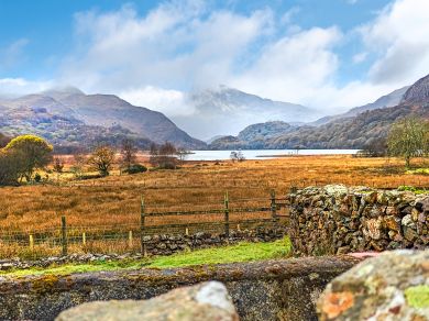 Llyndy Isaf (OC-L30305)
