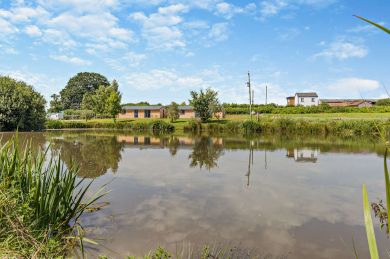 Curlews Rest at Canon Bridge Fishery (OC-C29692)