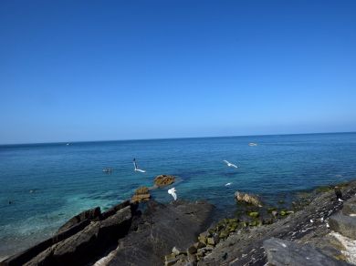Seas The Day In New Quay (OC-78589) Seas The Day In New Quay (OC-78589)