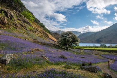 Lanthwaite Green Farm Cottage (OC-SZ588) Lanthwaite Green Farm Cottage (OC-SZ588)