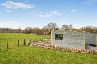 The Great Elm - Shepherds Hut (OC-E37511) The Great Elm - Shepherds Hut (OC-E37511)