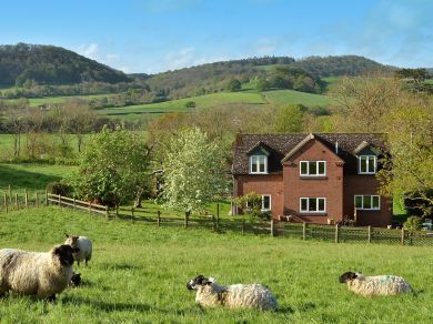 Wenlock View (OC-73319) Wenlock View (OC-73319)