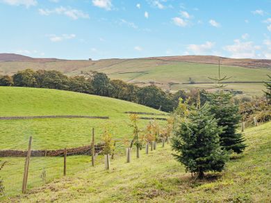 Clough Brook Cottage (OC-PK298)