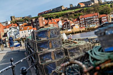 Harbour View - Whitby (OC-H30227)
