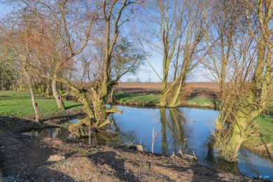 Oak View at Breeze Farm (OC-T30890)