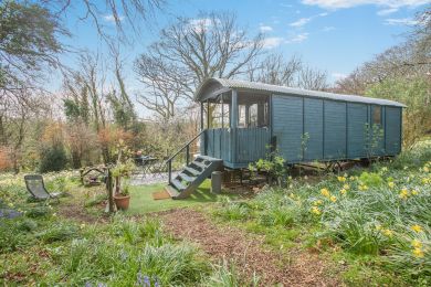 Daffodil Hut (OC-91964) Daffodil Hut (OC-91964)