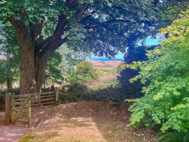 Downhouse Farm Cottage (OC-D45830) Downhouse Farm Cottage (OC-D45830)