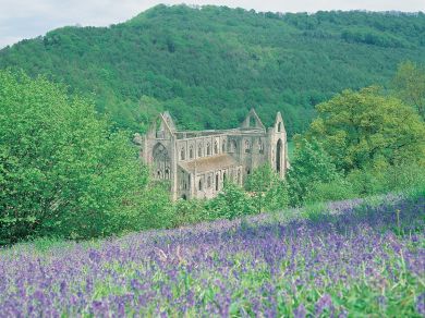 Wye At Ty Gwyn (OC-63293) Wye At Ty Gwyn (OC-63293)