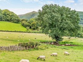 The Sugar Loaf Hideaway