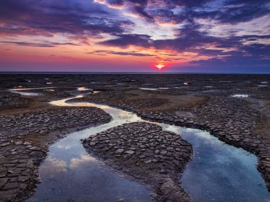 Lilac Cottage - Snettisham (OC-KT105) Lilac Cottage - Snettisham (OC-KT105)