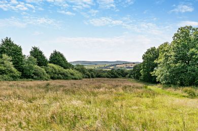 Roundhouse - South Reed Farm (OC-R29684)