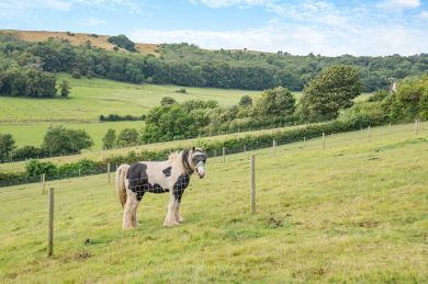 Suffolk, Southcroft Farm (OC-S29656)
