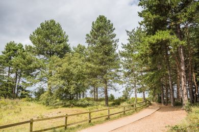 Lapwing Cottage -  Holkham (OC-L29121)
