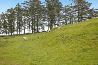 Uchaf Rhoslefain (OC-U44707) Uchaf Rhoslefain (OC-U44707)