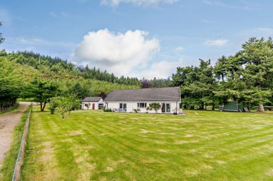 Pine Tops - Fort Augustus (OC-82791) Pine Tops - Fort Augustus (OC-82791)
