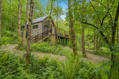 The Tree House (OC-42792)