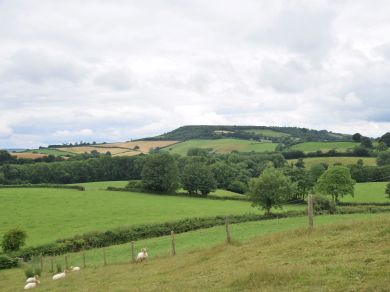 One - Old Coombe Cottages (OC-50885)