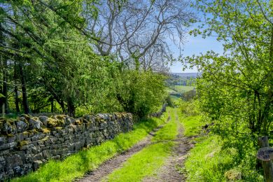 Bishopside Barn (OC-B31984)