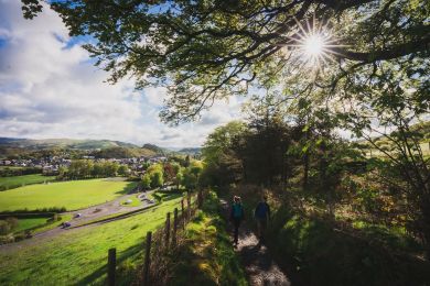 Hafod Gau (OC-BOW321)