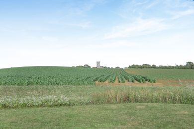 Field View (OC-F45355) Field View (OC-F45355)