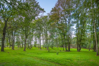 Brinkworth Park House (OC-55738) Brinkworth Park House (OC-55738)