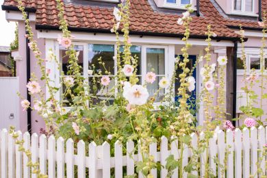 Camomile Cottage (OC-COLU) Camomile Cottage (OC-COLU)