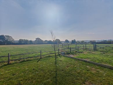 Fender Stables (OC-F46554) Fender Stables (OC-F46554)