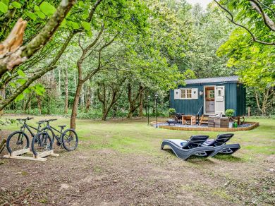 Woodland Retreat (OC-92830)