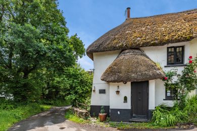 Jasmine Cottage - Winkleigh (OC-J31818)