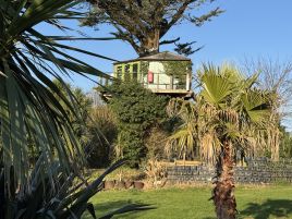 The Faraway Tree