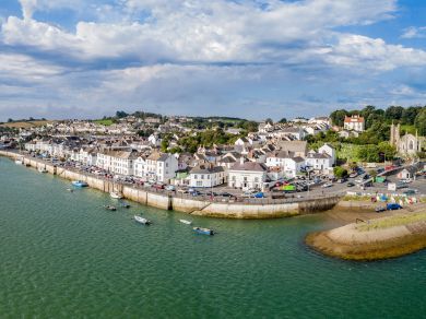 Mermaid Cottage Appledore (OC-M29918)
