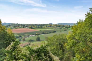 Plum Tree Cottage - Symonds Yat (OC-P33521)