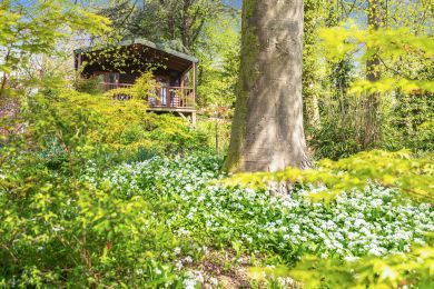 Woodland Views Lodge (OC-W32019)