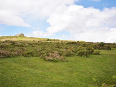 Haytor Vale Lodge (OC-46409)