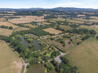 Frog Lodge Ludlow (OC-87474) Frog Lodge Ludlow (OC-87474)
