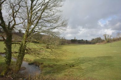 Copses At Narberth Bridge (OC-57408)