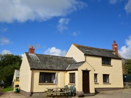 Instow Farm - Orange Blossom